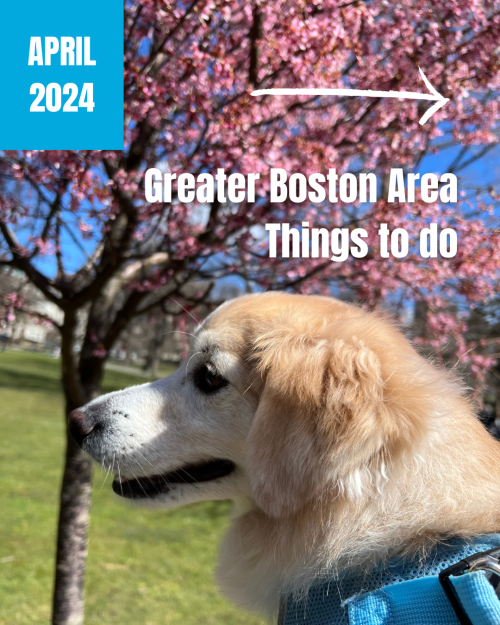 April Things to Do in Boston