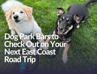 Dog Park Bars to Check Out on Your Next East Coast Roadtrip