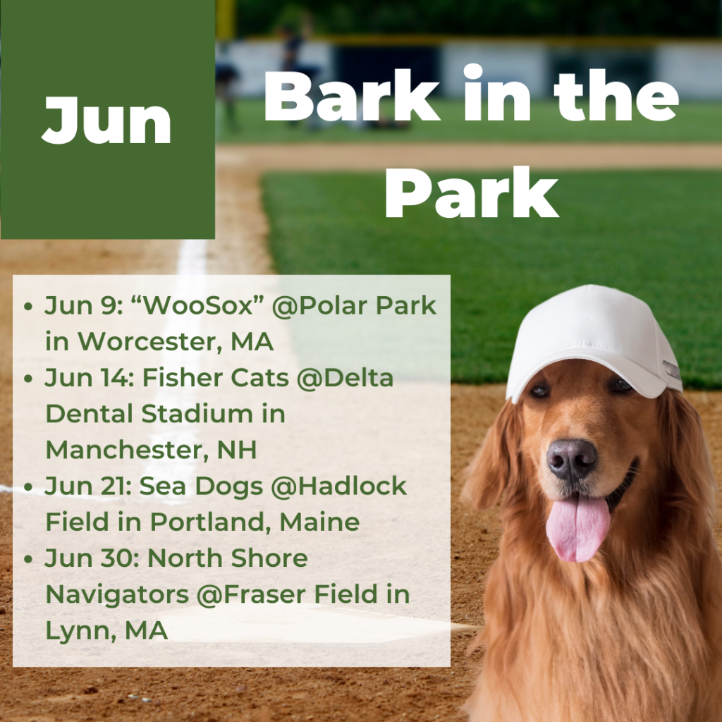 June 2024 Bark in the Park