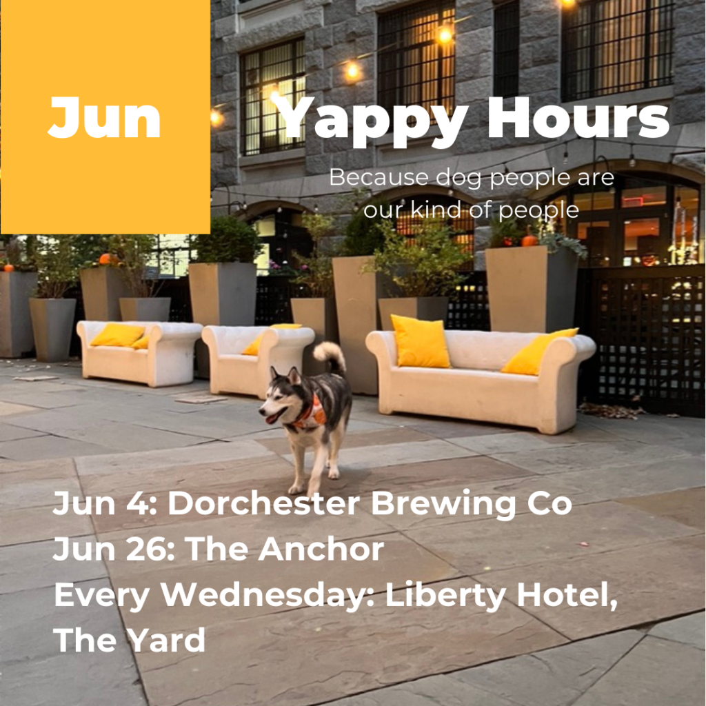 June 2024 Yappy Hours