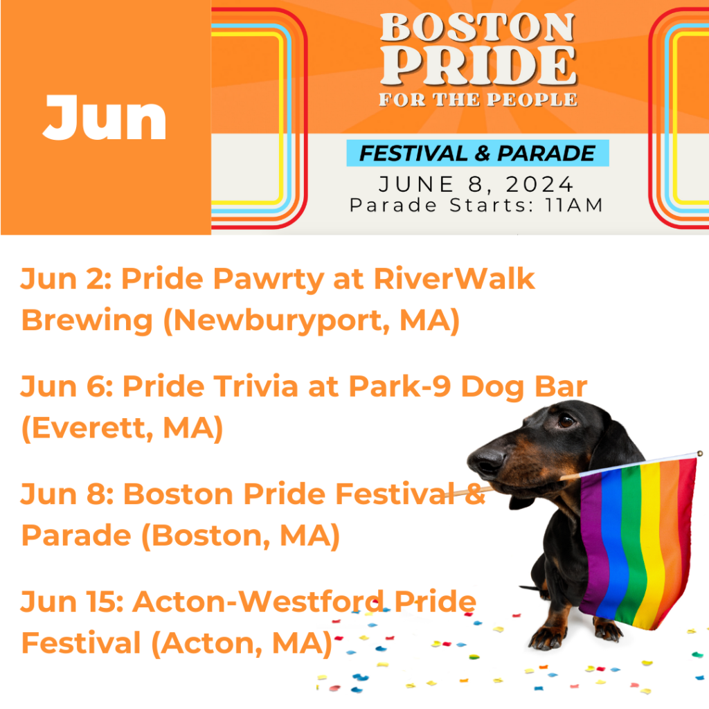 June 2024 Pride Events MA