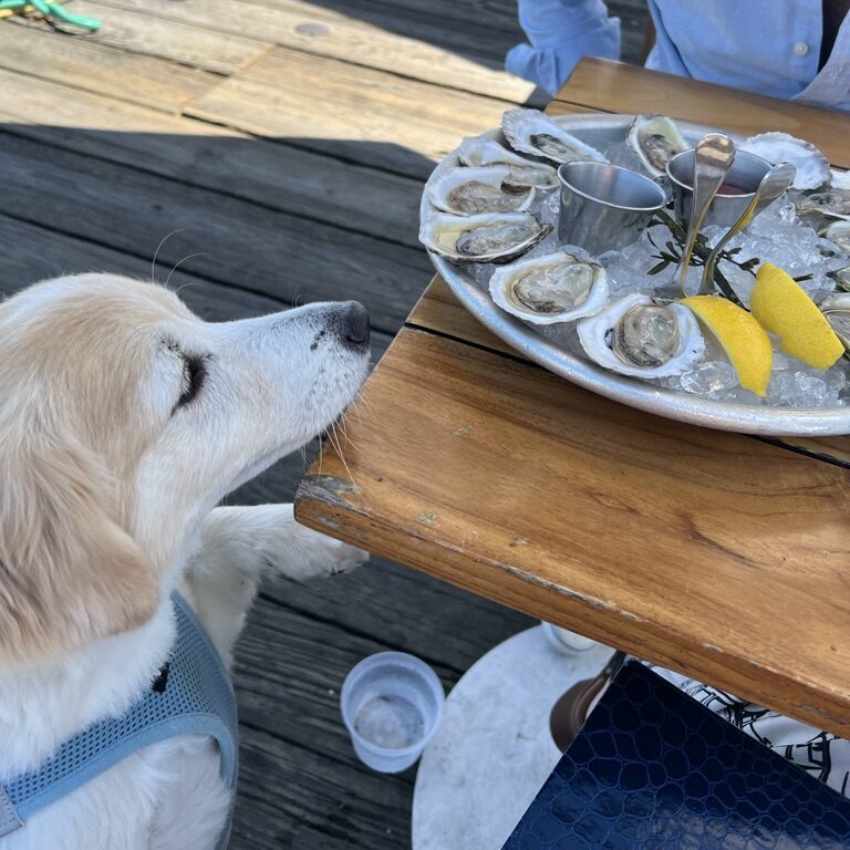 Cru Oysters