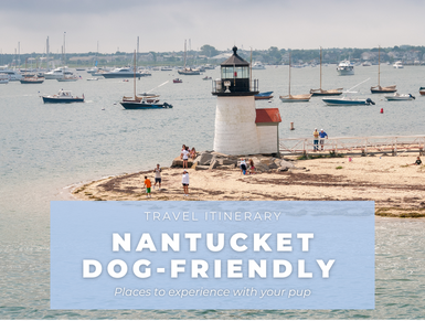 Best Places to Visit in Nantucket, A Dog-Friendly Travel Guide