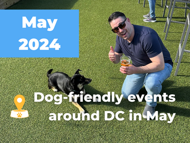 Dog-friendly events around DC in May