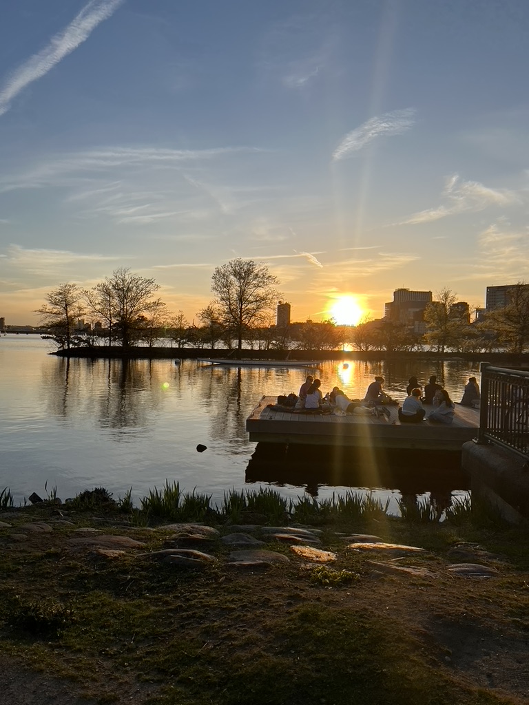 Picnic in Boston