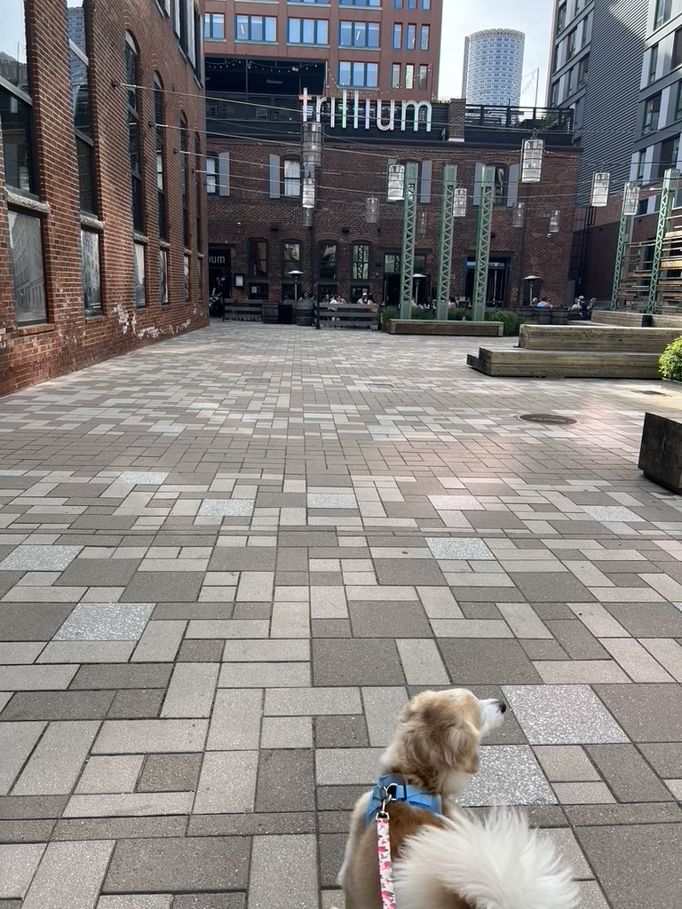 Trillium Brewery in Fort Point Boston