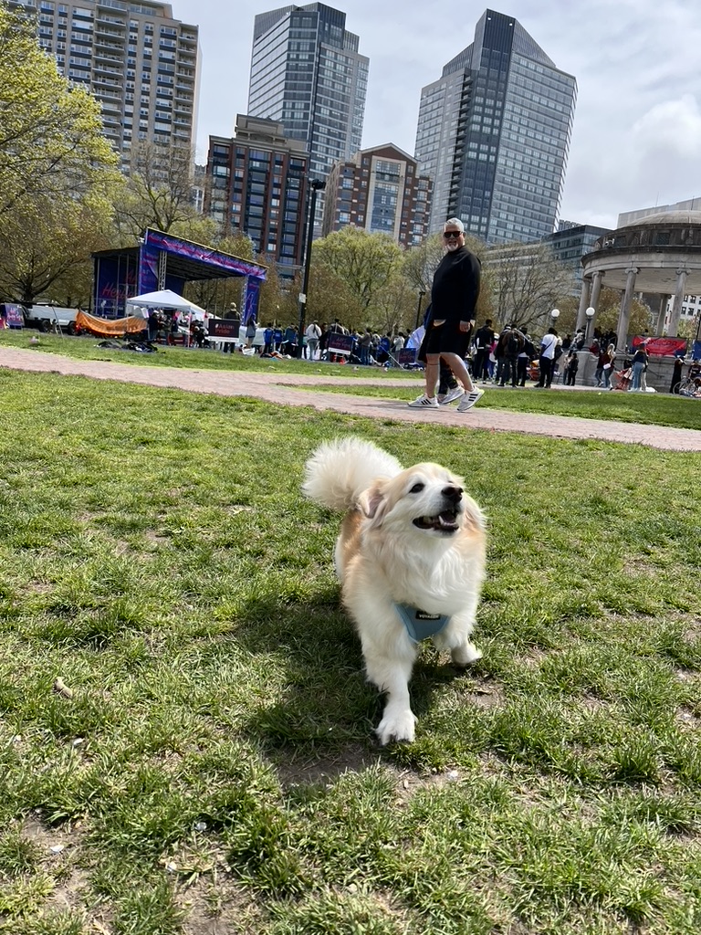 Boston Common