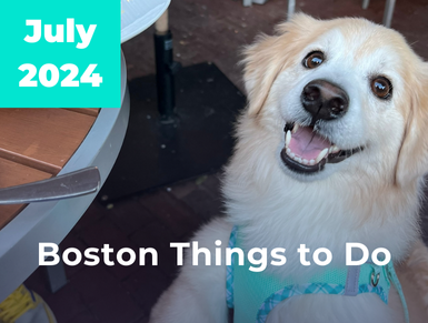 July Dog-Friendly Events to check out around Boston